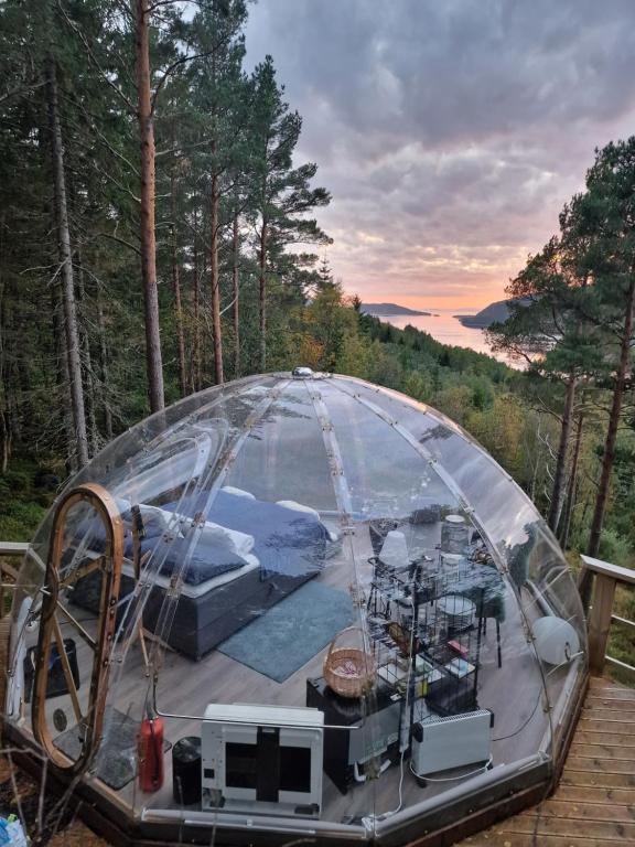 ein Iglu-Haus mit einem Zimmer im Wald in der Unterkunft Sørfjorden Eye Iglo - Fosen in Husby