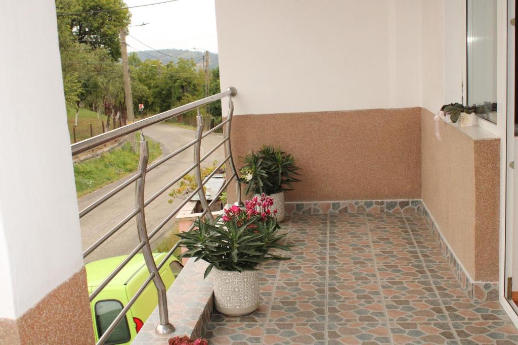einen Balkon mit zwei Topfpflanzen und einer Treppe in der Unterkunft Casa Dănuț in Reşiţa