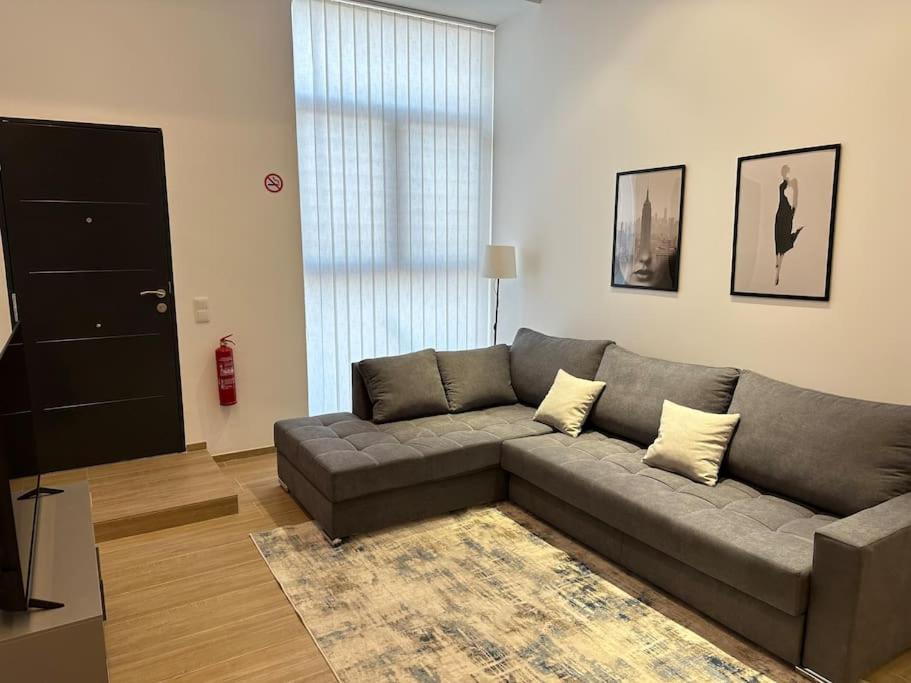 uma sala de estar com um sofá cinzento e um tapete em Apartamento Murcia San José A em Múrcia