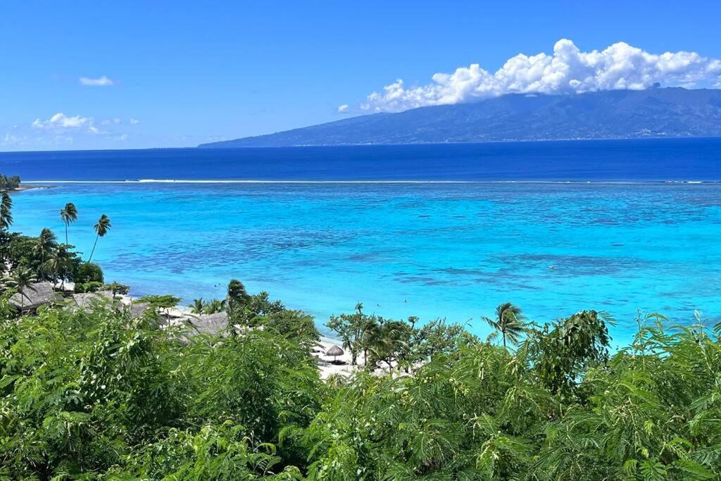 Bungalow Moorea à 50 mètres du lagon - photo 12 - Moorea, Polynésie
