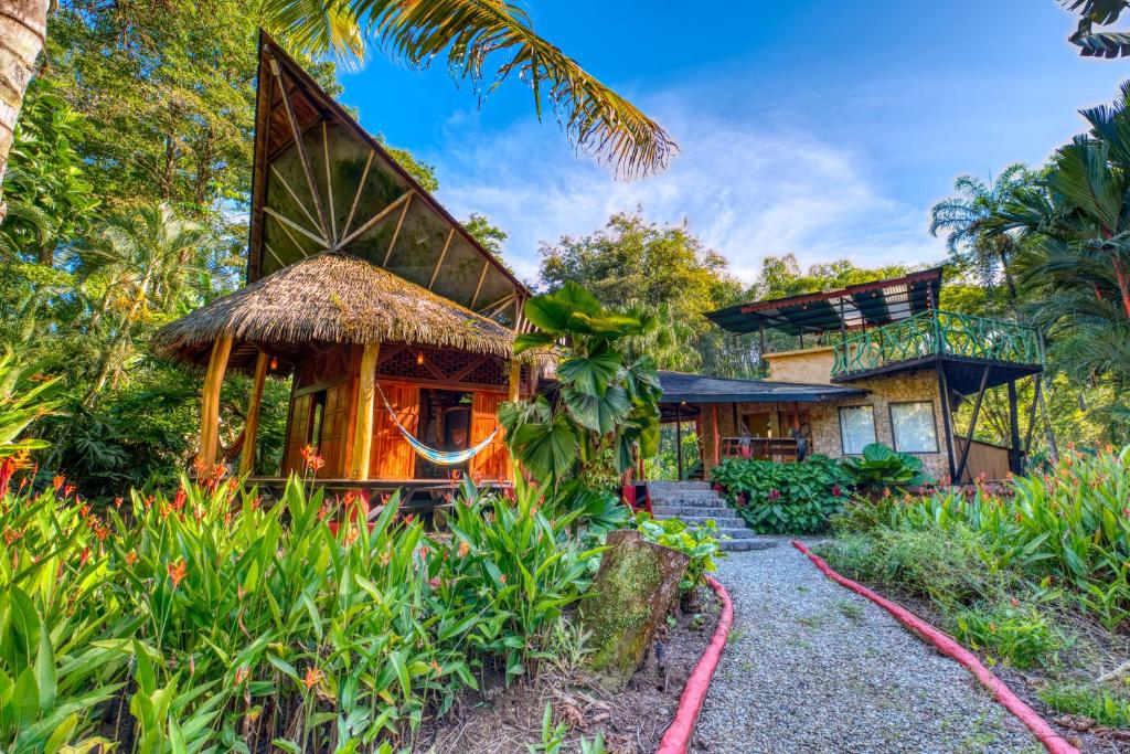 a house in the jungle with a pathway leading to it at Tree House Beachfront Lodge in Puerto Viejo