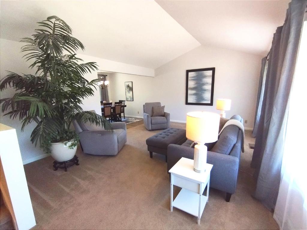 salon z niebieską kanapą i rośliną w obiekcie 3 Bedrooms-SF Napa Ready! w mieście Vallejo