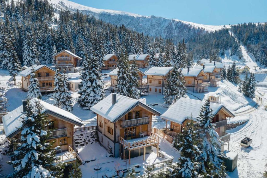 an aerial view of a lodge in the snow at Chalet Montana Royal XL Koralpe in Hartelsberg