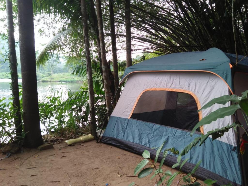 a blue and white tent in the woods next to a river at Comfortable Eco Stays in Kitulgala with sightseeing & Adventure activities - Back Kate Resort in Kitulgala