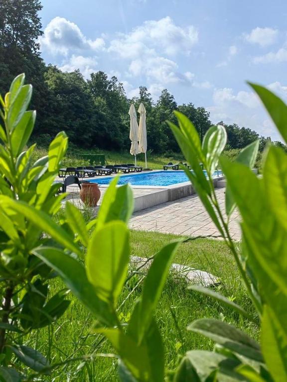 Piscina a Palanačka Avlija 1 o a prop