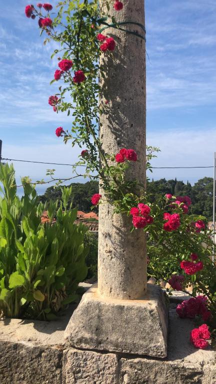 a pole with pink flowers growing out of it at Villa Anica Dubrovnik in Dubrovnik