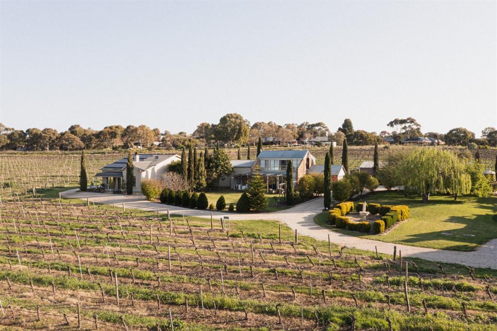 a house in the middle of a field with vines at Barossa Shiraz Estate in Lyndoch