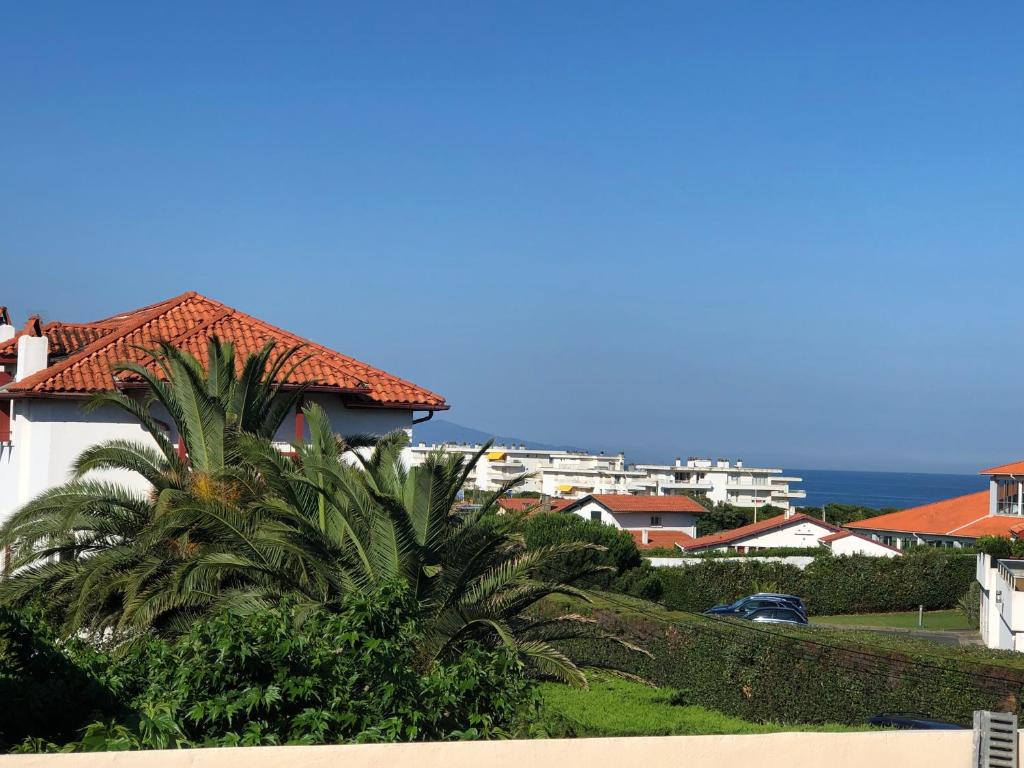 una casa con una palmera frente al océano en Villa Bella à 250m des plages, en Biarritz