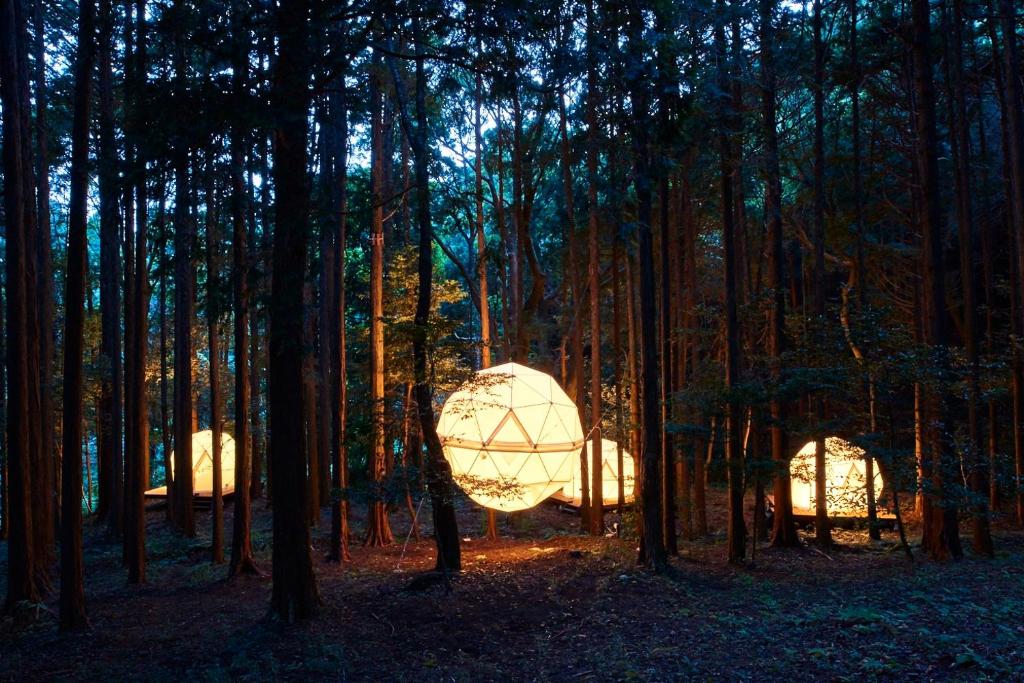 una sfera in mezzo a una foresta con alberi di 泊まれる公園 INN THE PARK a Numazu