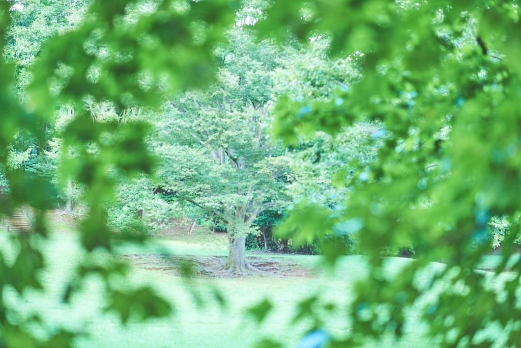 Zahrada ubytování 泊まれる公園 INN THE PARK