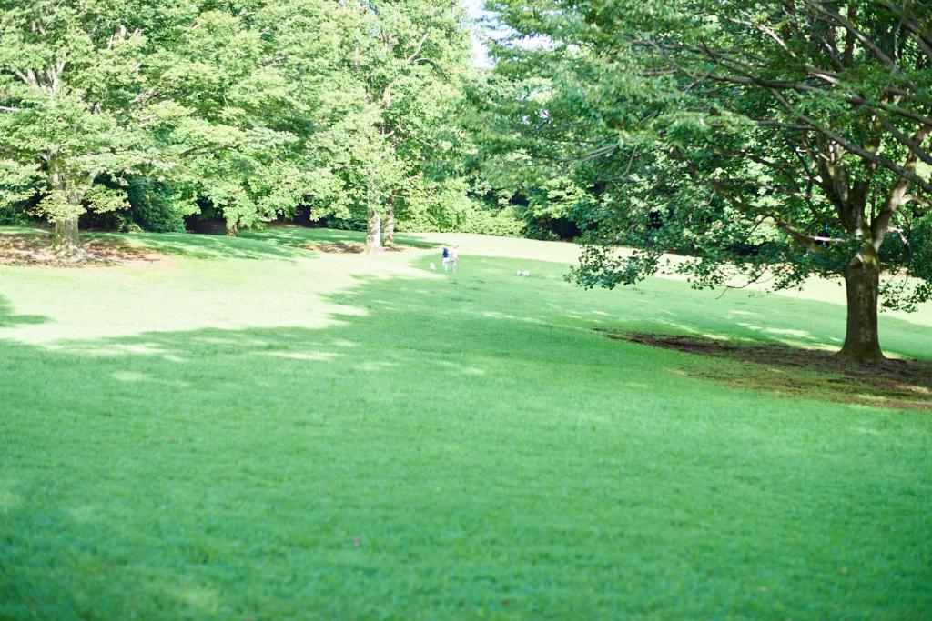 Zahrada ubytování 泊まれる公園 INN THE PARK