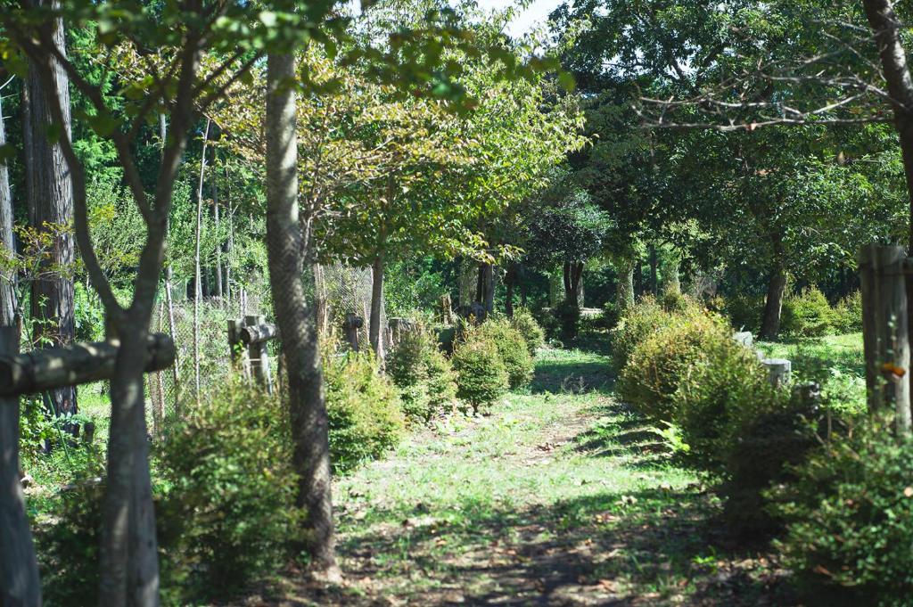 Zahrada ubytování 泊まれる公園 INN THE PARK