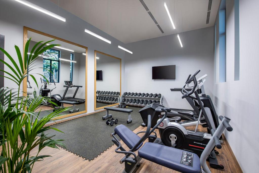 Fitness centrum a/nebo fitness zařízení v ubytování Tbilisi Philharmonic Hotel by Mercure