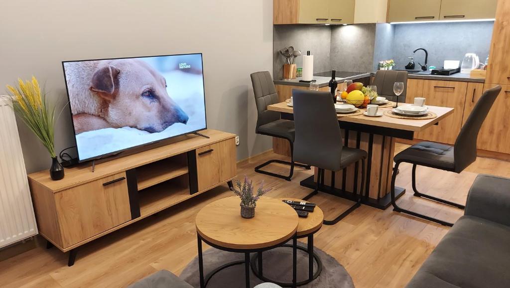 una sala de estar con TV con un perro en la pantalla en Apartament Kallisto, en Bydgoszcz