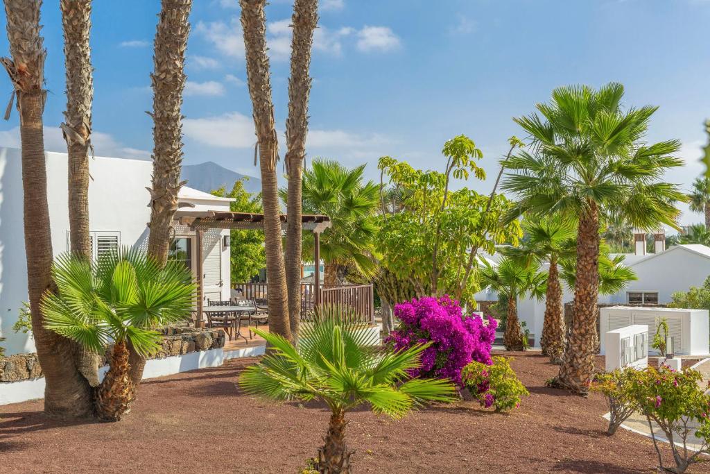 a yard with palm trees and flowers in front of a house at Jardines del Sol in Playa Blanca