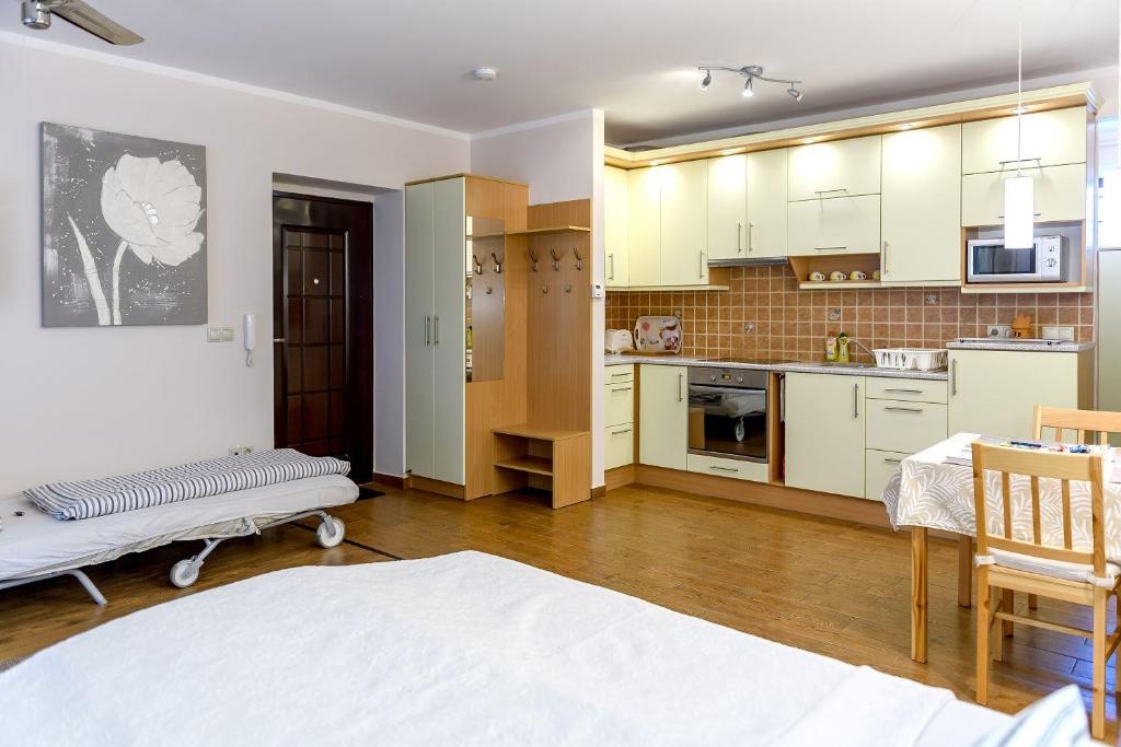 Kuchyň nebo kuchyňský kout v ubytování Atmoszféra Apartman
