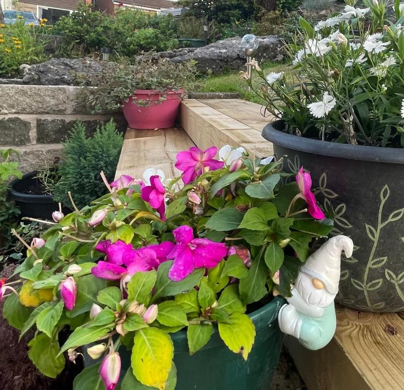 a garden with pink flowers in a pot at The Hideaway-Sharples-Bolton in Bolton