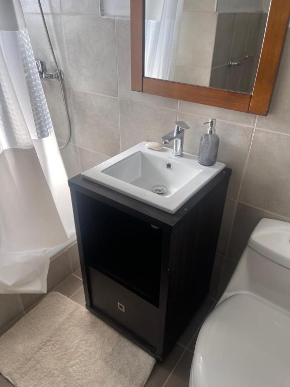 a bathroom with a sink and a toilet and a mirror at Hospedaje de la vita in Punta Arenas