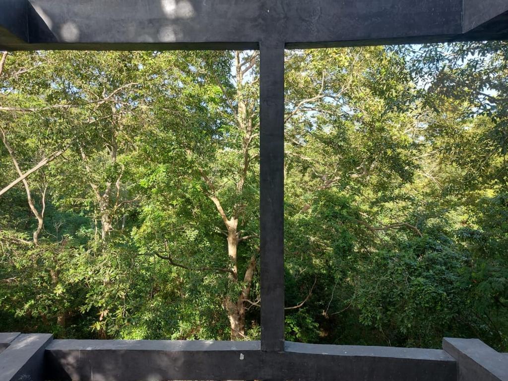 Příroda nedaleko hotelu