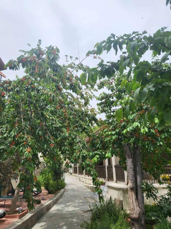 Zahrada ubytování Kallithea INN