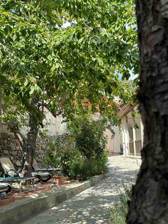 Zahrada ubytování Kallithea INN