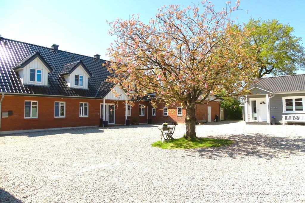 a tree in the middle of a courtyard with houses at Landhaus Scholz in Dollerup