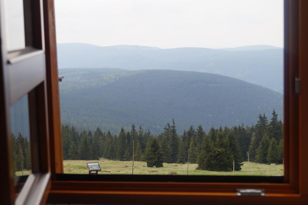 Příroda nedaleko hostelu