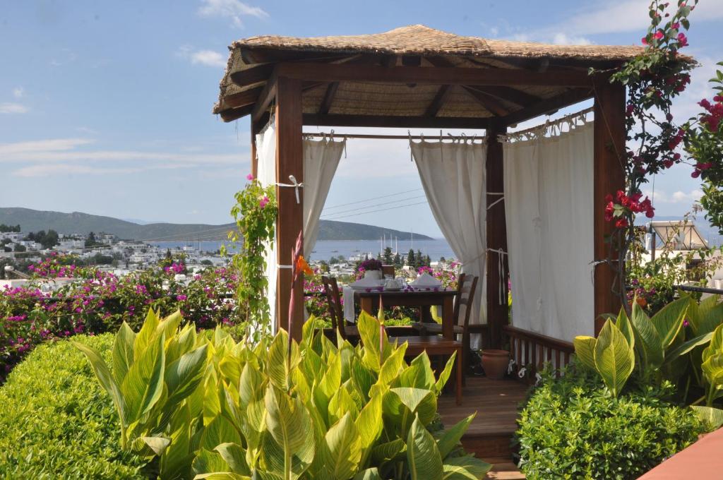 Příroda nedaleko hotelu