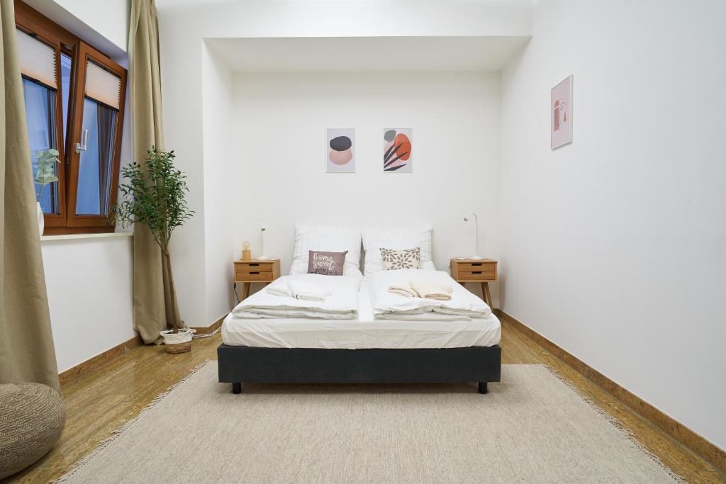 Global Living - Design Apartments I City Center I Balcony I Smart-TV I Kitchen I Dresden - 16