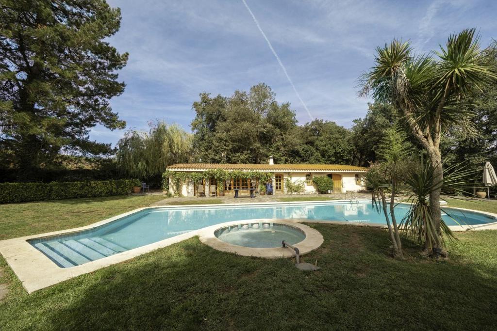 una piscina en un patio con una palmera en Can Mariné, en Sant Antoni de Vilamajor