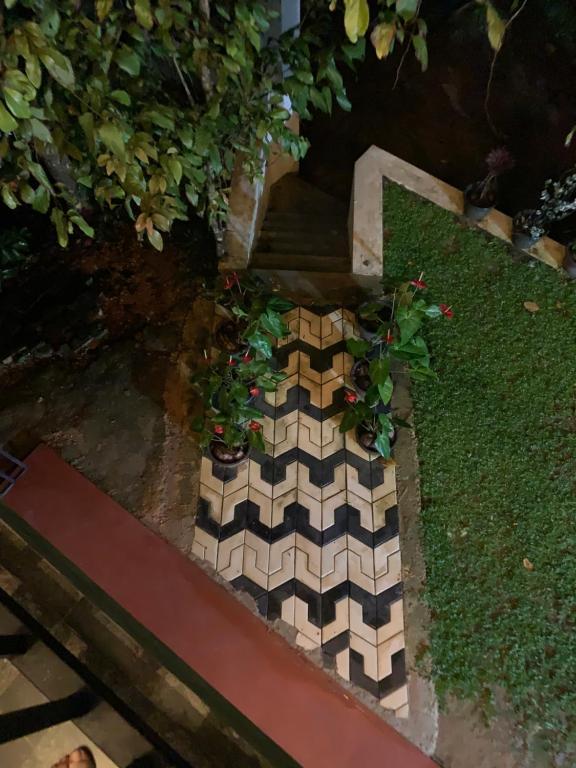 Zahrada ubytování Villa33