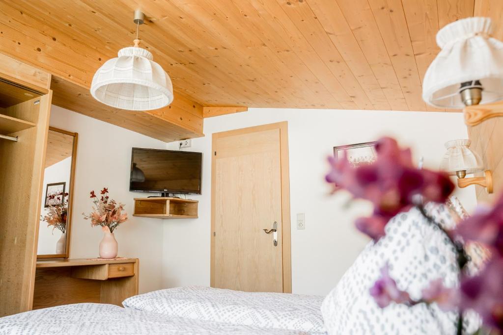 TV a/nebo společenská místnost v ubytování Landhaus Geisler