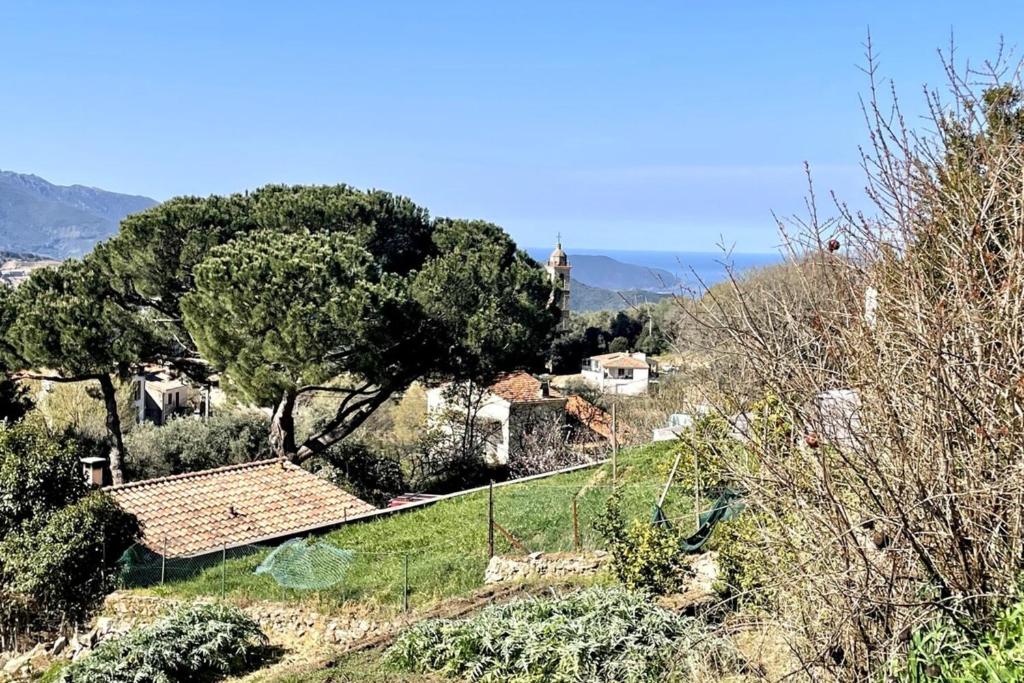 Φυσικό τοπίο κοντά σε αυτό το διαμέρισμα