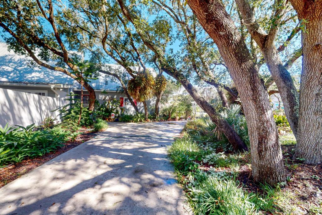 een met bomen omzoomde stoep voor een huis bij All You Could Want in St. Augustine