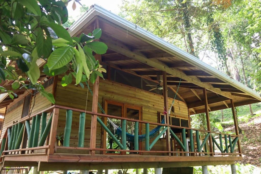 a log cabin in the woods with a tree at Jungle beach 2 bedroom cottage in Bocas del Toro
