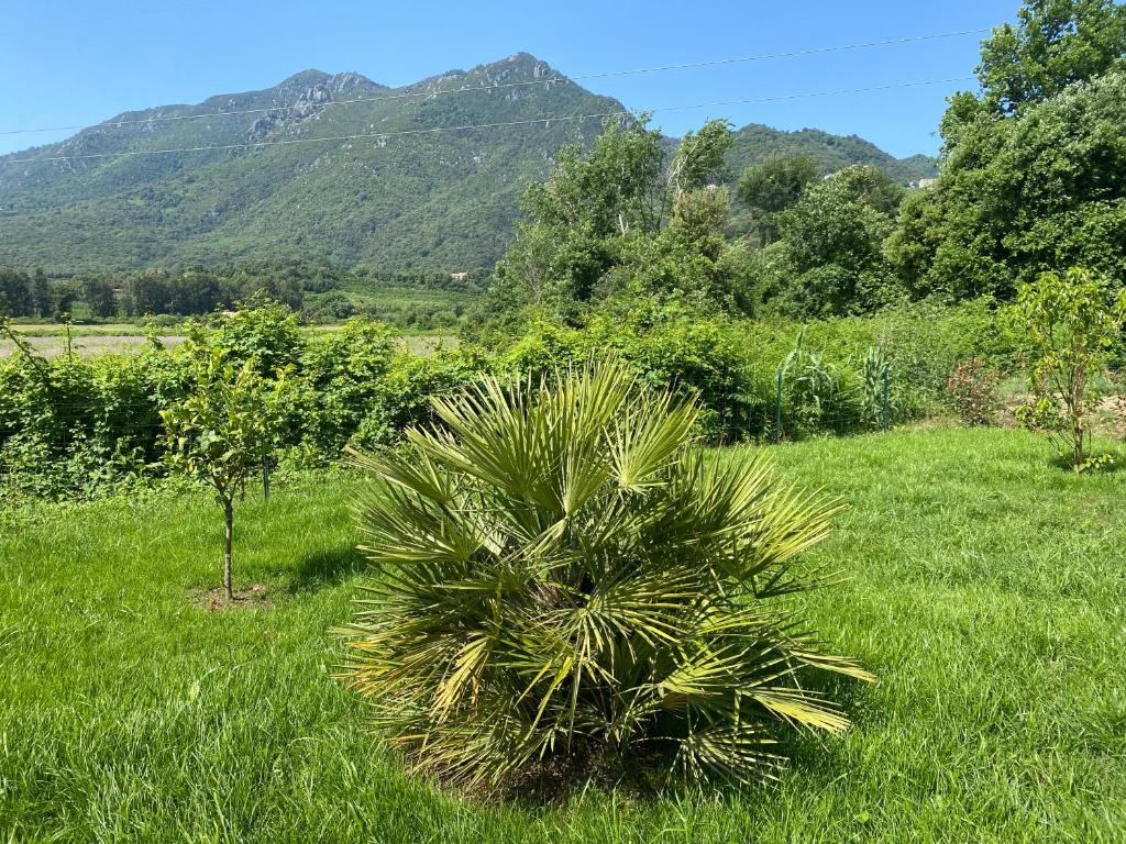 Φυσικό τοπίο κοντά σε αυτό το διαμέρισμα