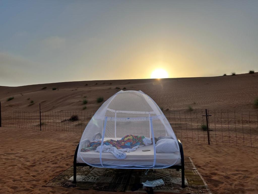 Příroda nedaleko luxury tent