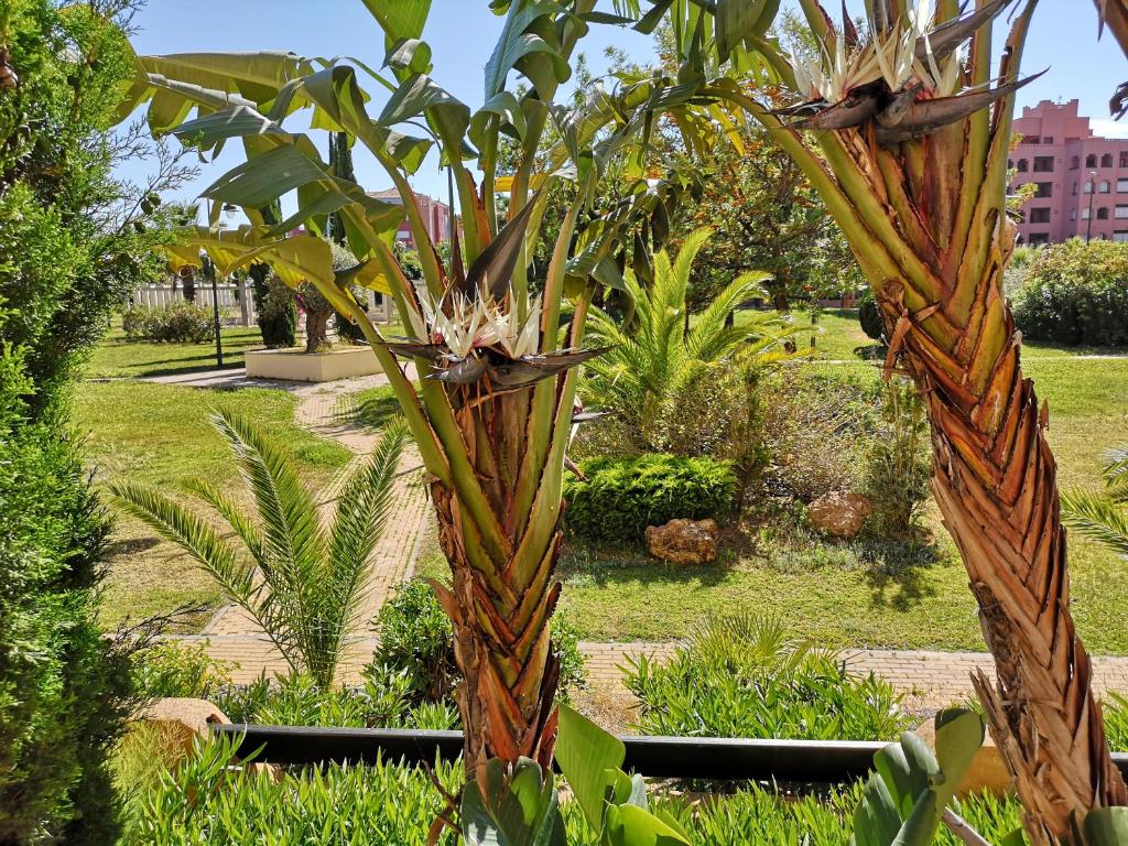 Zahrada ubytování Jardines de Isla Canela, planta baja.
