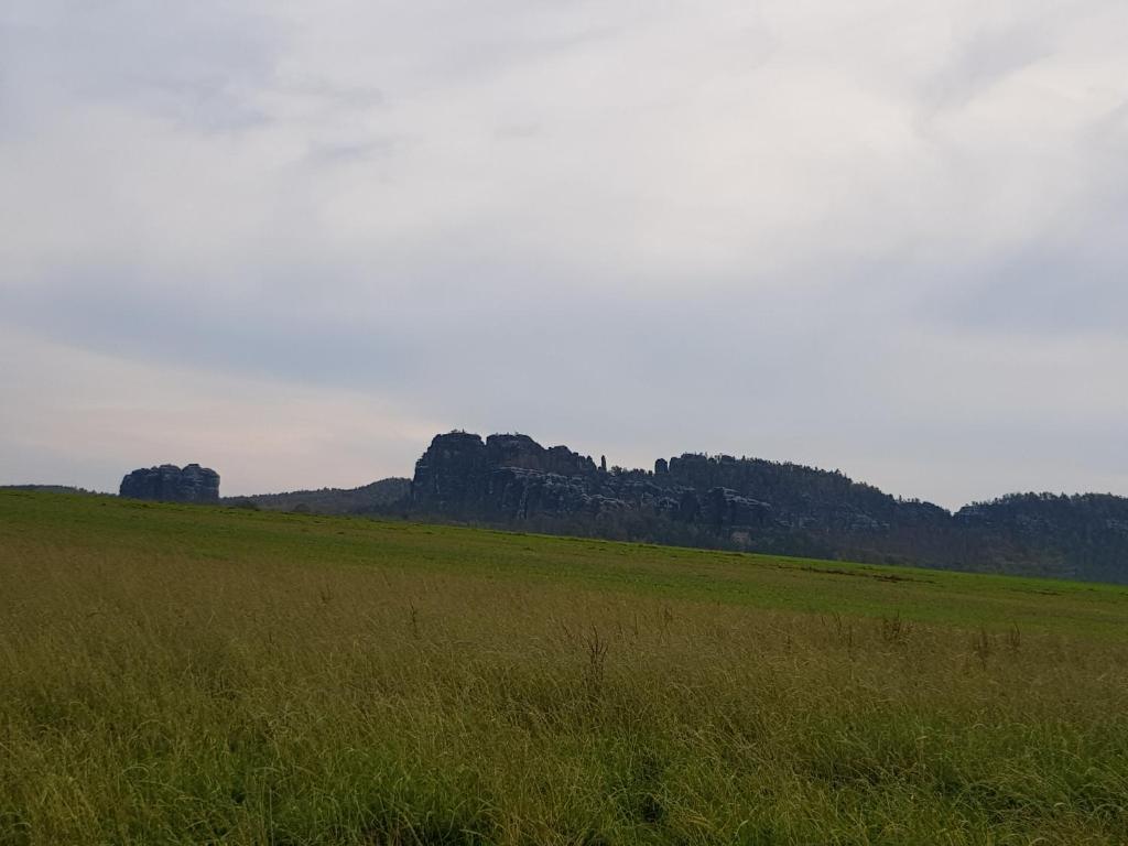 un campo de hierba con una montaña en el fondo en Ferienwohnung an der Kurpromrnade, en Bad Schandau