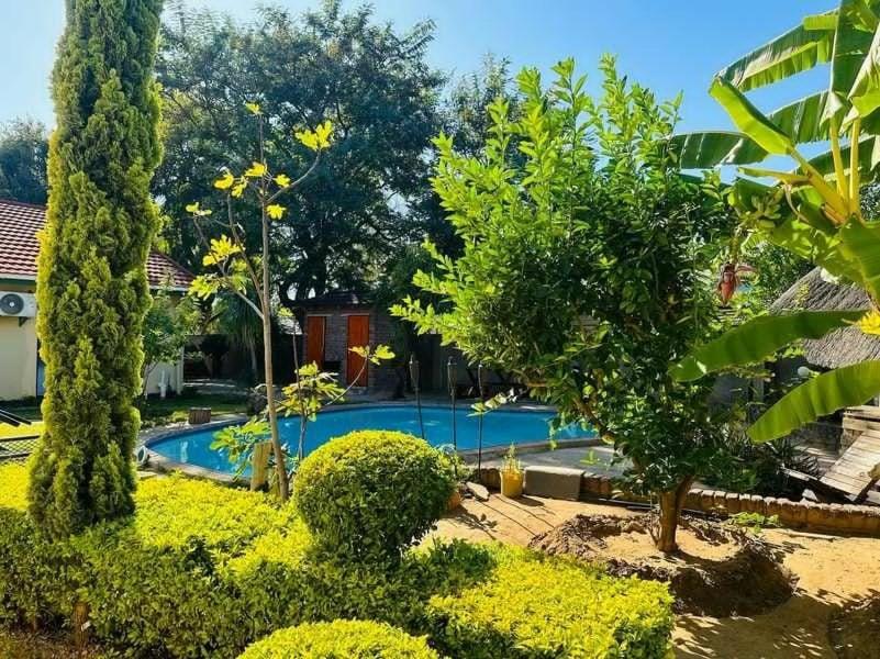 una piscina en un patio con árboles y arbustos en Birdville BNB Guest House, en Gaborone