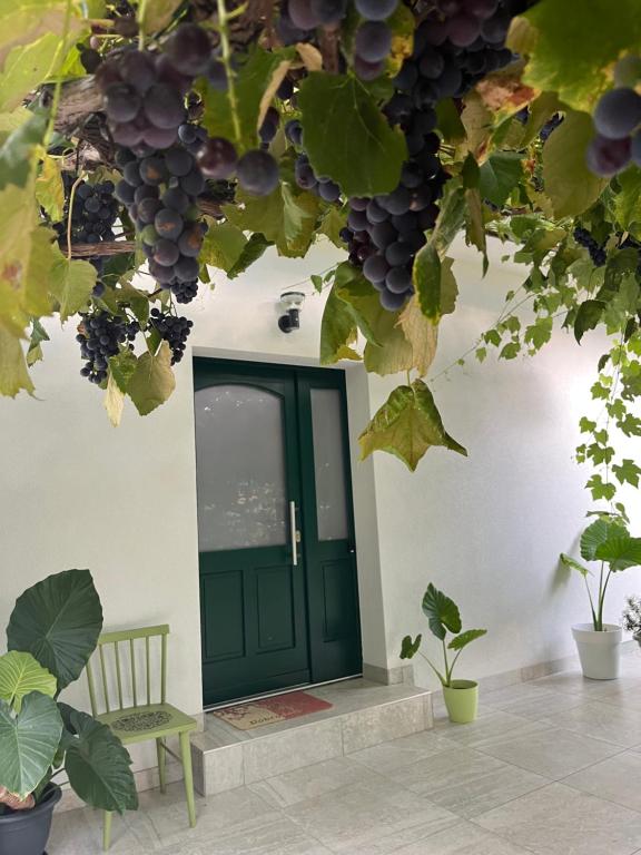Eine grüne Tür mit einem Haufen Trauben in der Unterkunft The Green Door Apartment in Postojna