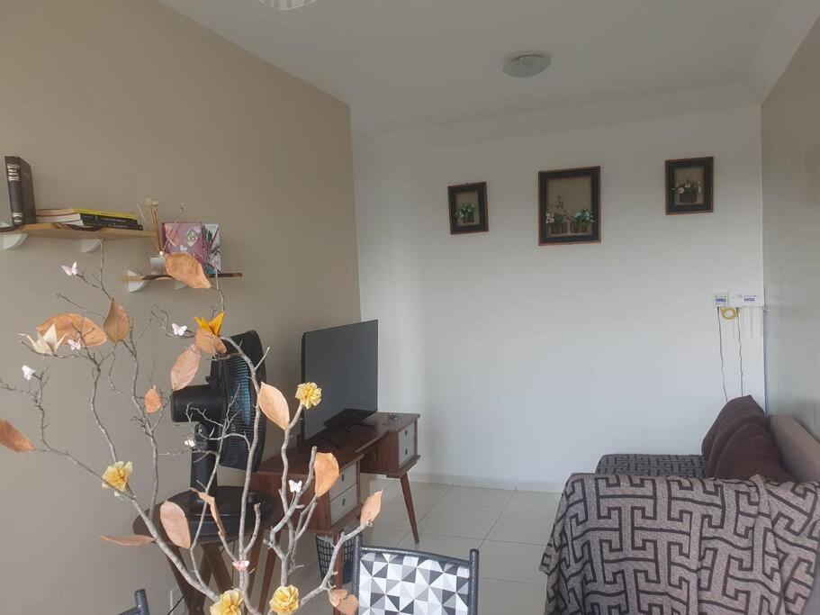Sossego e tranquilidade! – Photos 1