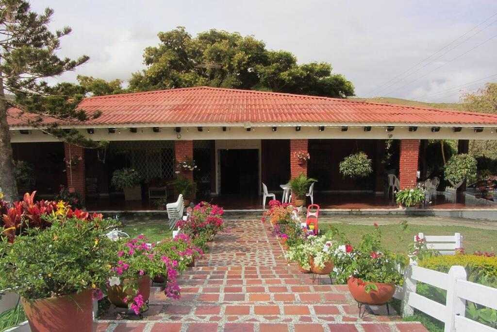 Fotografie z fotogalerie ubytování Finca cerca a Cali - Pura Naturaleza - El Carmen, Colombia v destinaci Papagalleros