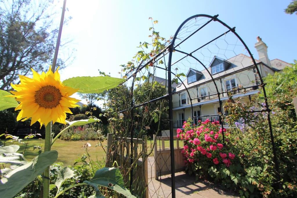 a garden with a sunflower in front of a building at Carnethic Penthouse in Fowey