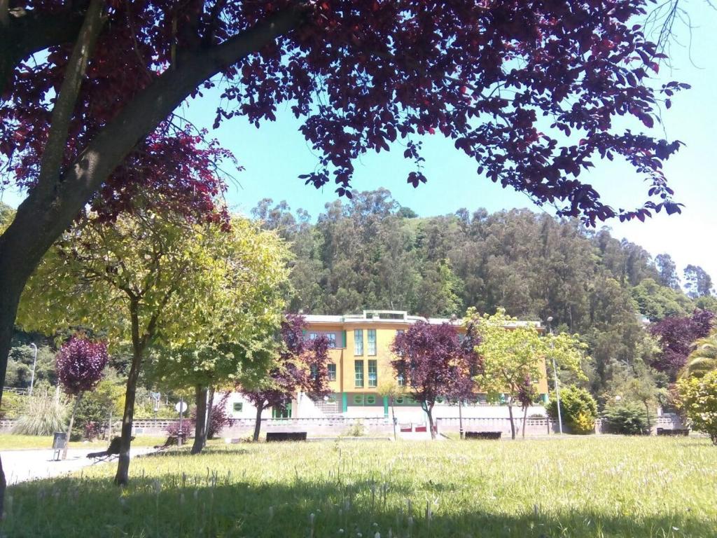 a yellow building in the middle of a field with trees at Albergue El Floran in Blimea