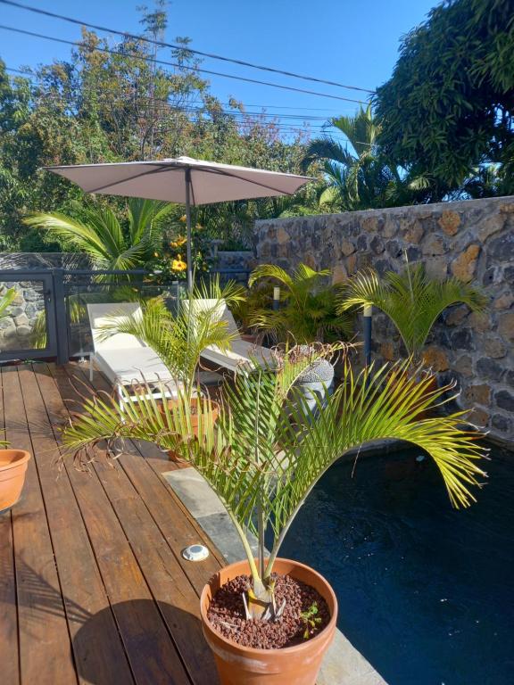 VILLA HIBISCUS, SaintPierre, Reunion