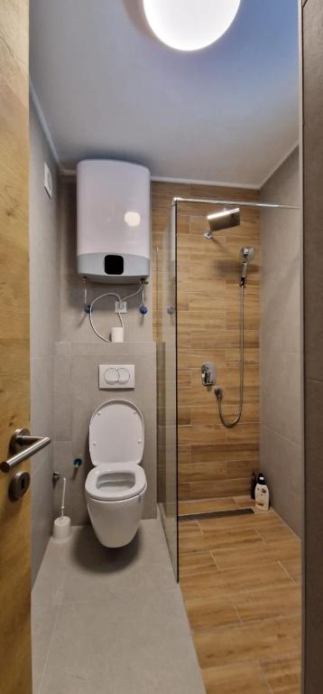 La petite salle de bains est pourvue d'une douche et de toilettes. dans l'établissement Apartman N&E, à Bjelašnica