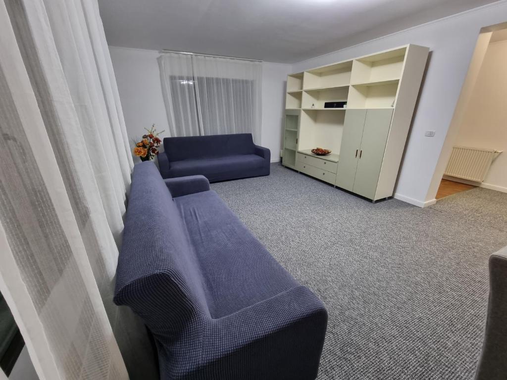 sala de estar con sofá azul y armario en Casa Sava en Letea Veche