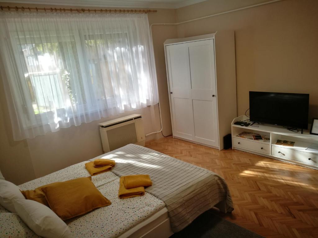 TV a/nebo společenská místnost v ubytování Fontana Apartman