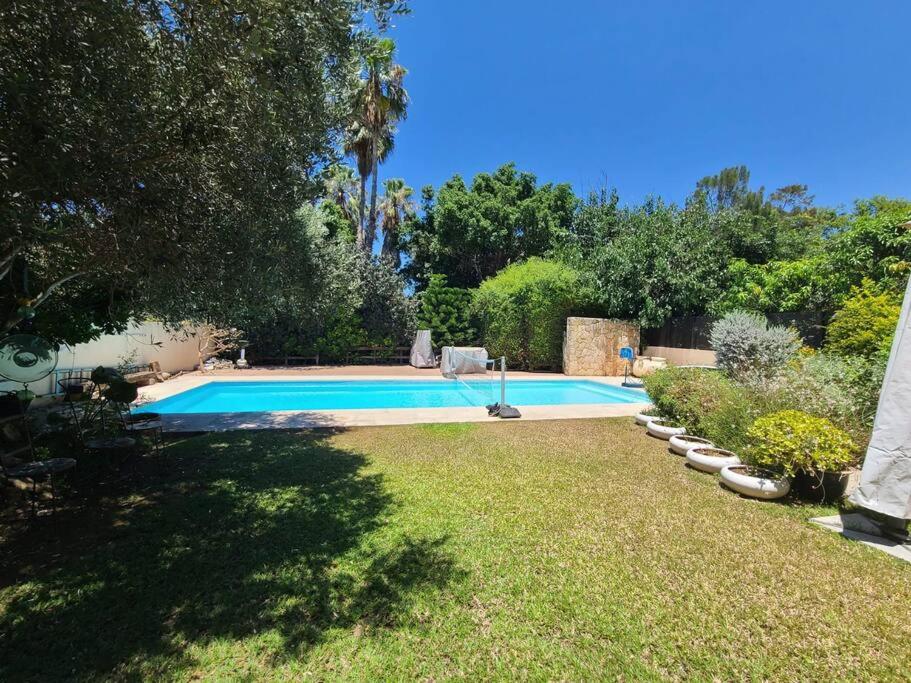 a swimming pool in the yard of a house at gorgeous herzeliya pool villa in Herzelia 